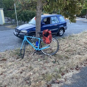 2015 Specialized Ruby Blue