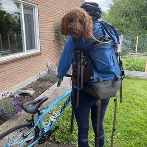 2015 Specialized Ruby Blue