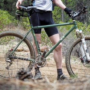 2010 Raleigh XXIX Pro Green