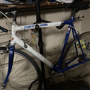 2021 Cannondale White and Blue