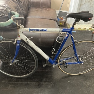 2021 Cannondale White and Blue