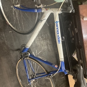 2021 Cannondale White and Blue
