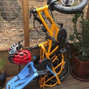 2020 Tern Cargo Yellow or Gold