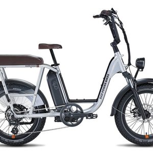 Rad Power Bikes Rad Runner Plus Silver, gray or bare metal