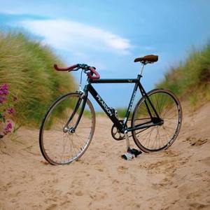 2020 Hero Cycles Ltd 1234567890 Blue, Brown, and Blue