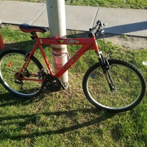 CCM Unknown Red