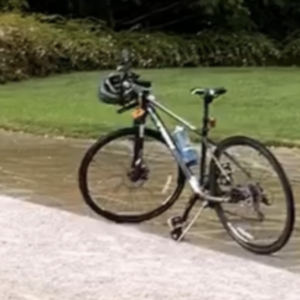 Trek Black