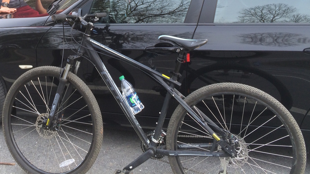 gt timberline expert 2020