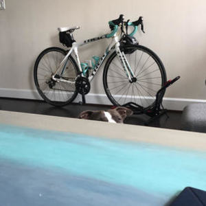 Trek Madone 4.5 White and Teal