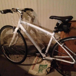 2006 Specialized Butterflies