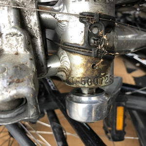 Fuji Sagres Forza Silver, gray or bare metal