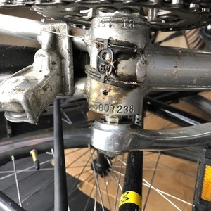 Fuji Sagres Forza Silver, gray or bare metal
