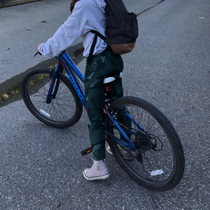 2016 Giant XTC Blue