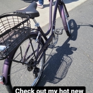 2021 Townie Townie 7D EQ STEP Purple