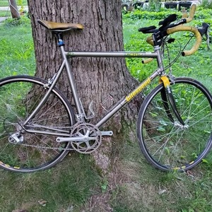 1998 Litespeed Tachyon Silver, gray or bare metal