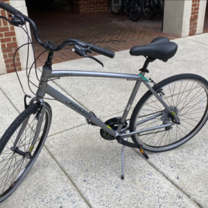 Jamis Citizen 1 Silver, gray or bare metal