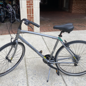 Jamis Citizen 1 Silver, gray or bare metal