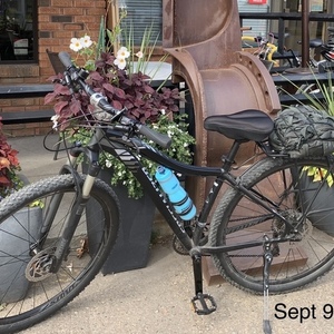 2015 Specialized Black