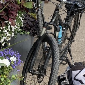 2015 Specialized Black