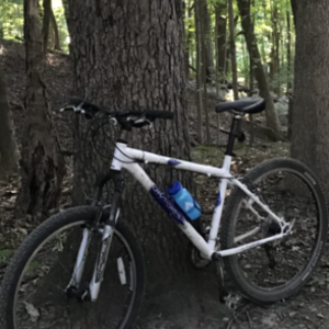 2006 Gary Fisher Marlin GS White, Blue, and Silver, gray or bare metal