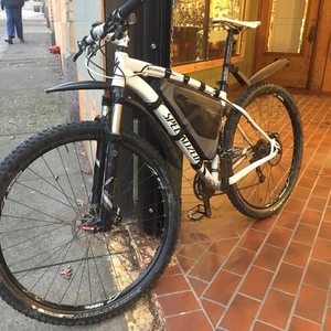2010 Specialized Stumpjumper Comp 29 White