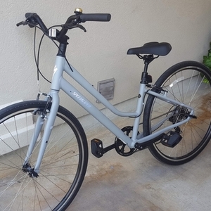 2017 Specialized Alibi c Silver, gray or bare metal