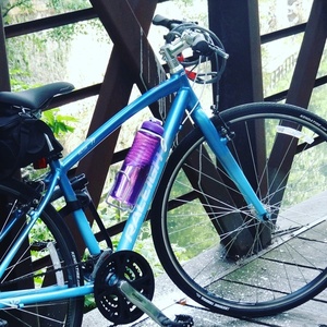 2016 Raleigh Alyssa 2 Blue