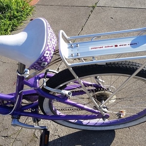 2013 Giant gloss girls Purple