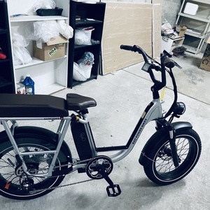 2021 Rad Power Bikes 2020 or 2021, Rad 2+, ebike Silver, gray or bare metal