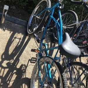 1985 Murray Monterey Blue