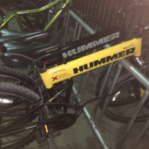 2016 Montague Yellow or Gold