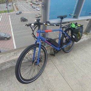 2020 Rad Power Bikes FULL Blue