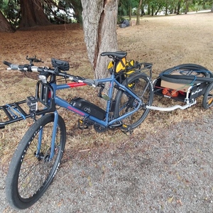2020 Rad Power Bikes FULL Blue