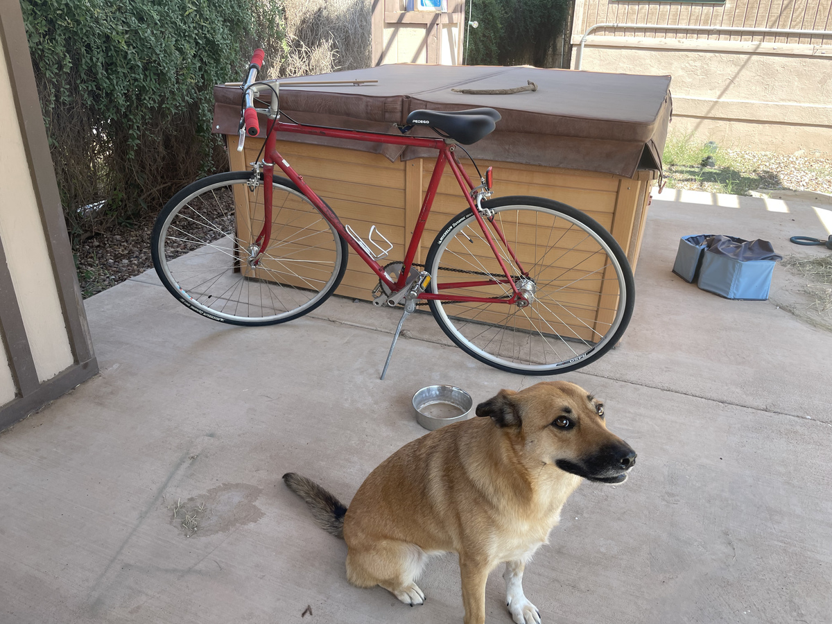 Bike photo
