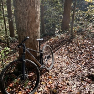 2020 Specialized Rockhopper Black