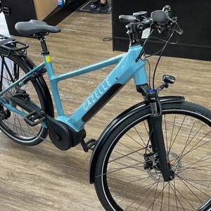 2021 Gazelle Blue