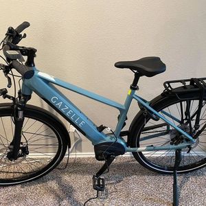 2021 Gazelle Blue