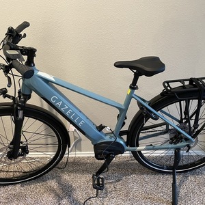 2021 Gazelle Blue