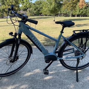 2021 Gazelle Blue