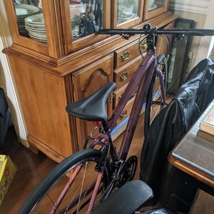 2020 Specialized Sirrus 1.0 Purple