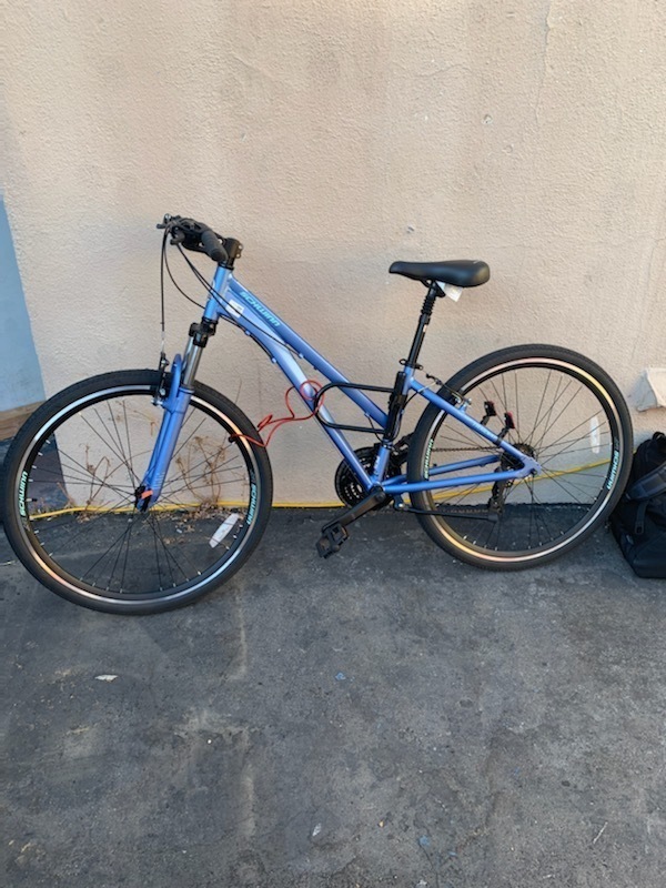 schwinn sky blue paint