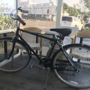 2018 Fuji Sagres Black