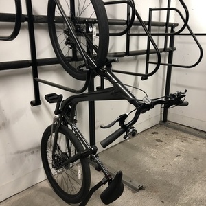 2021 Momentum Montlake Black