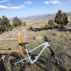 2019 Santa Cruz Bronson Silver, gray or bare metal