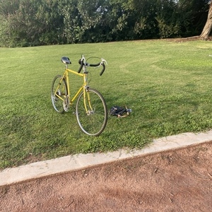 1975 Schwinn Continental Yellow or Gold