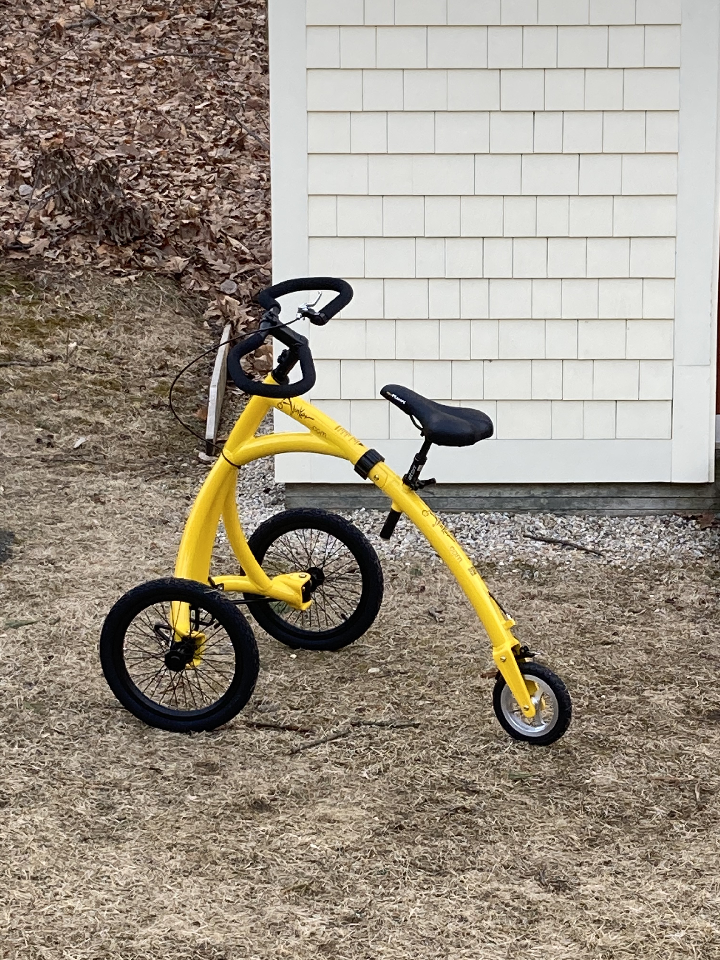 Stolen 2021 Alinker Alinker Walking Assit Bike (3 wheels) personal ...