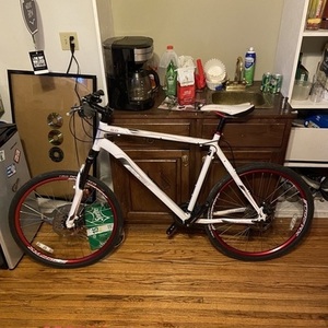 2011 Raleigh Talus 5.0 White