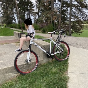 2011 Raleigh Talus 5.0 White