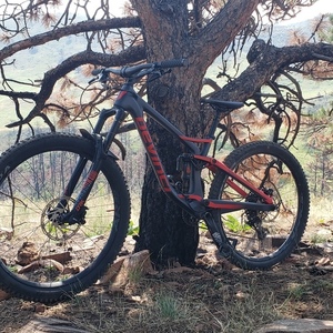 2019 Devinci Spartan Silver, gray or bare metal