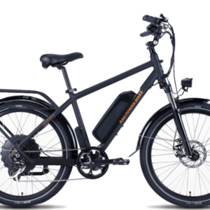 2019 Rad Power Bikes Citybike Silver, gray or bare metal